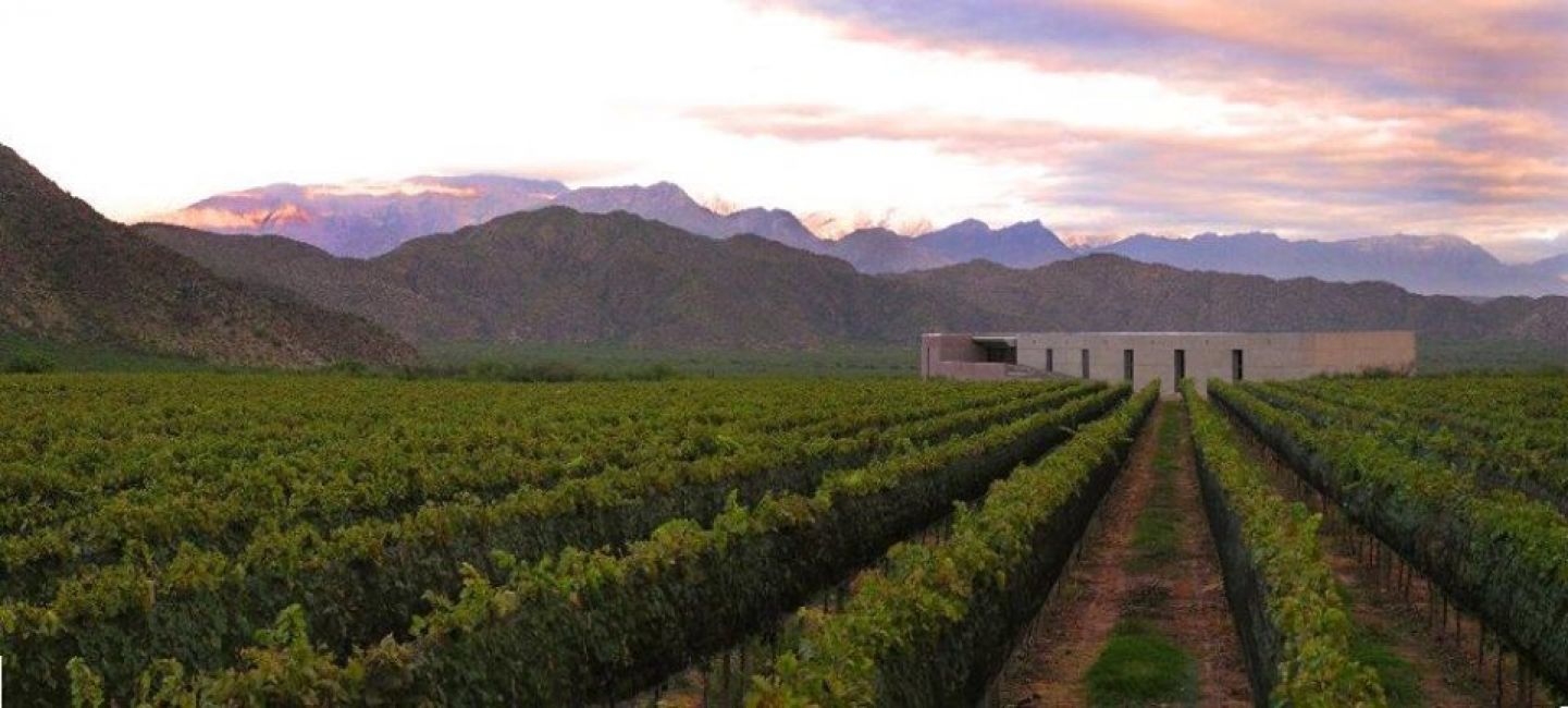 Chañarmuyo Bodega & Casa de Huéspedes