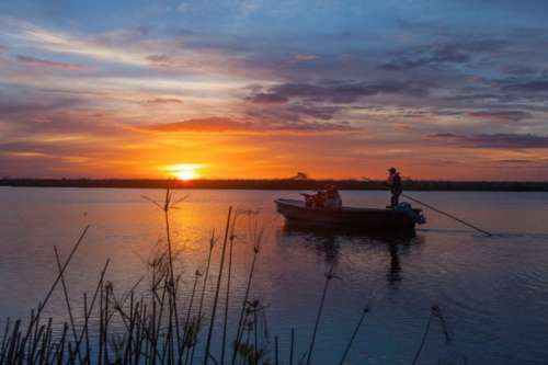 Pesca con Mosca