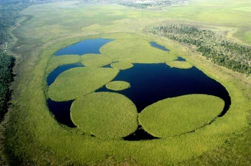 Parque Ibera