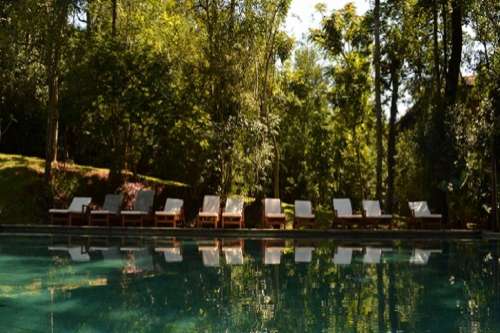 Piscina en Jardin